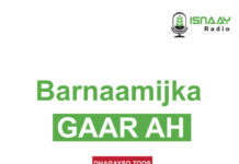 Barnaamij Gaar ah oo ku Saabsan Caalamiga ah Ee Waayeelka